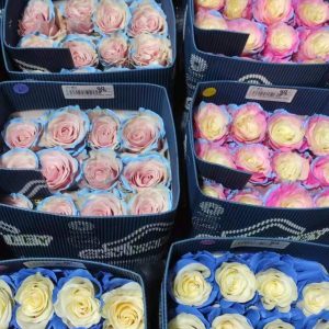 Rosas de Ecuador